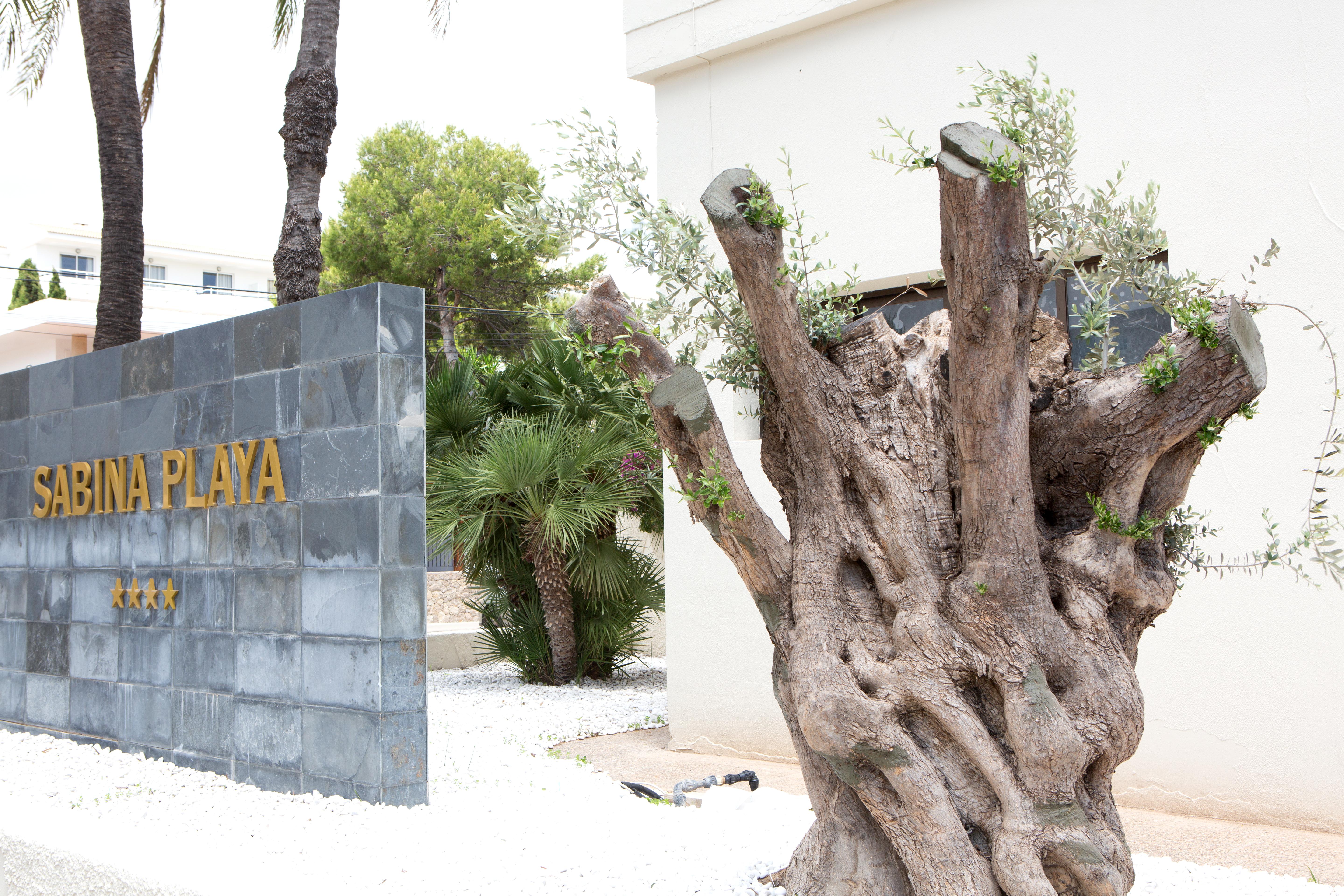 Hotel Sabina Playa (Adults Only) Cala Millor  Esterno foto